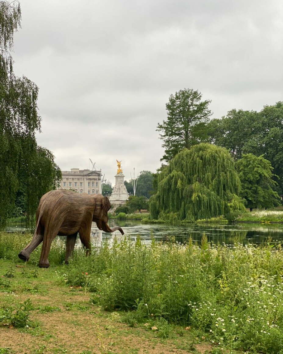 Herds of life-sized elephant sculptures are popping up around london for a good cause  Very close to LouiseHouse life-sized herds are a bit more eye-catching. The artwork project is brought to us by the wildlife conservation charity Elephan