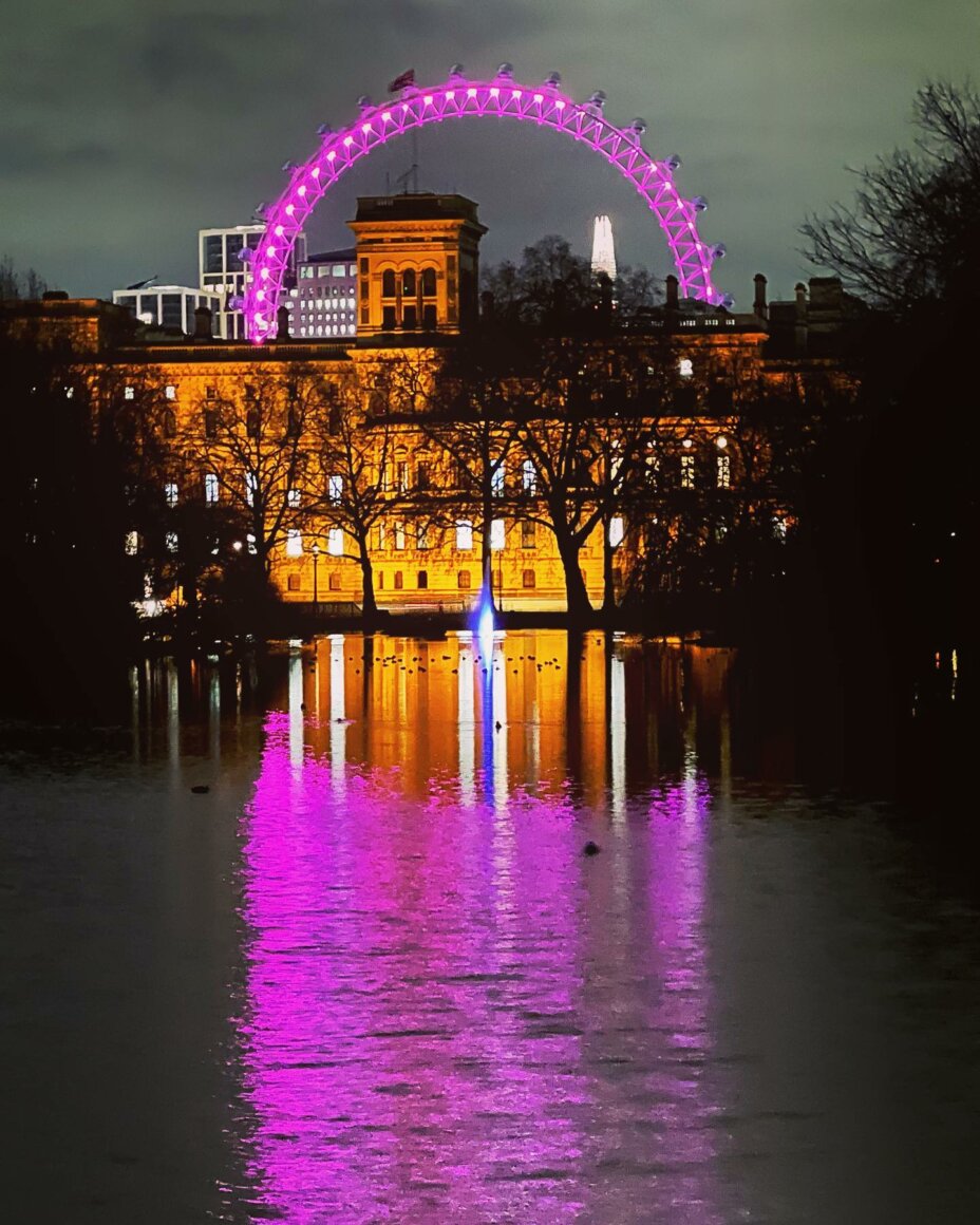 St James’s Park: beautiful by day, enchanting by night ! 🤩🤩🤩 . . . stjamespark londoneye london londonatnight studentlife studentlifestyle